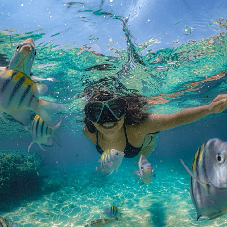 101ed2c8aed3278a6b925fdb5b4d35f5